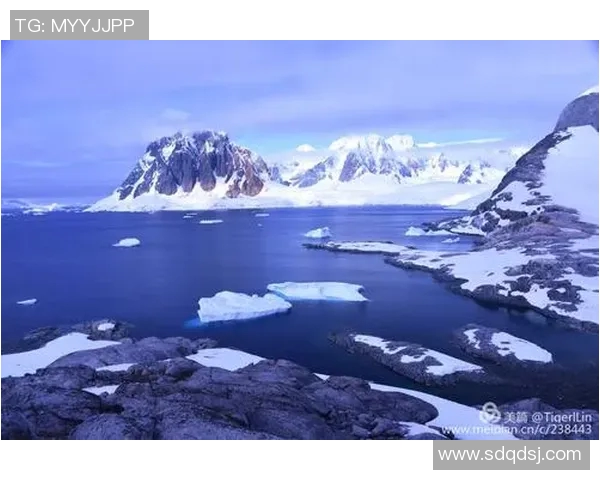 飞盘追梦：王娜的深度对话与人生探索之旅