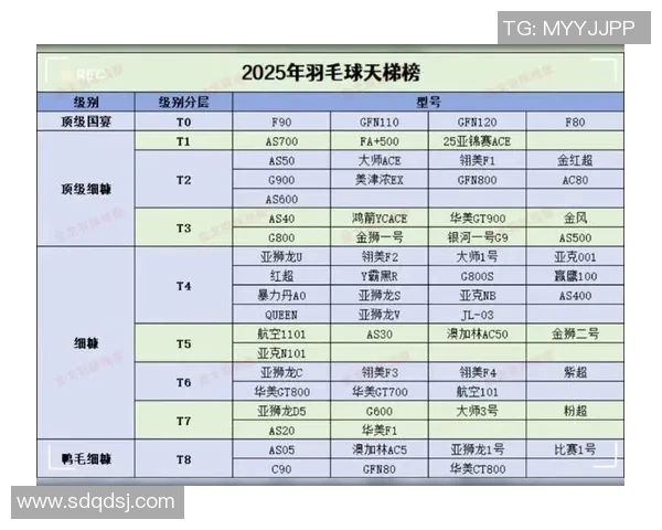 权威发布羽毛球比赛经验实力榜单揭示顶尖选手竞争格局与未来发展趋势