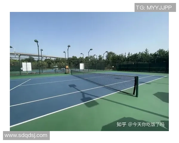 成都网球队进攻策略分析与表现评估探讨