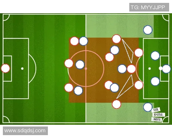 深圳排球队意识提升与战术创新的深度分析与探讨 深圳排球队意识提升与战术创新的深度分析与探讨