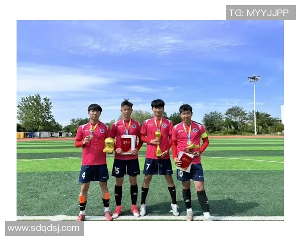 足球明星的传奇人生与成就全景解析