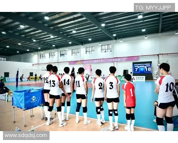 上海排球队战术变革引发热议助力球队重返巅峰之路 上海排球队战术变革引发热议助力球队重返巅峰之路