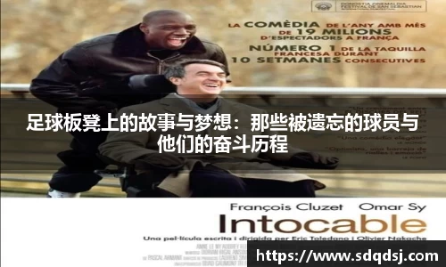 彩神vl携手追求健康