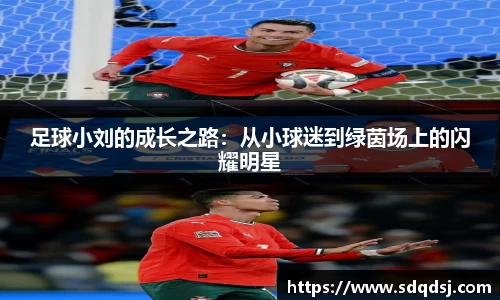 足球小刘的成长之路：从小球迷到绿茵场上的闪耀明星